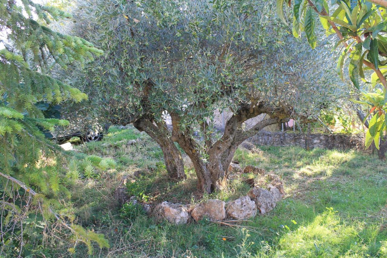 Casa Rural Baobab Romancos Kültér fotó