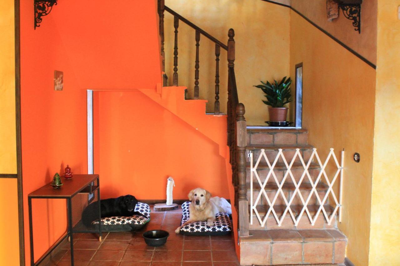 Casa Rural Baobab Romancos Kültér fotó